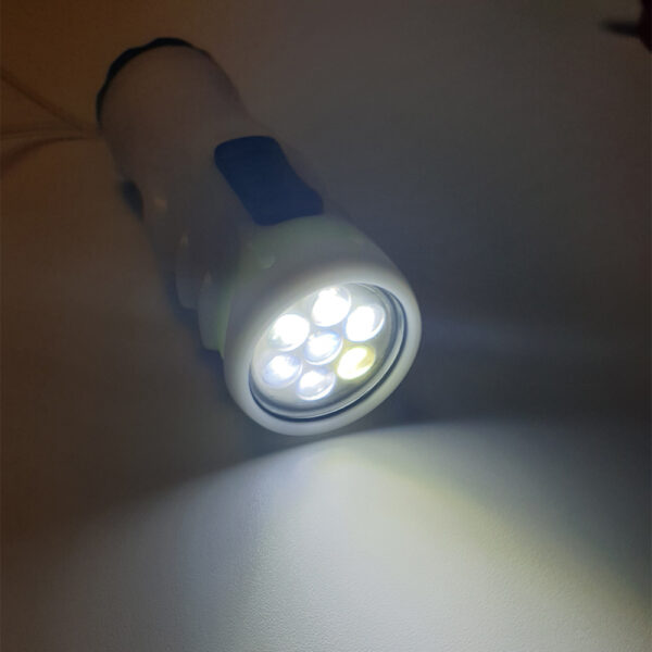 20190215_170154_копия.jpg FA MI Torch