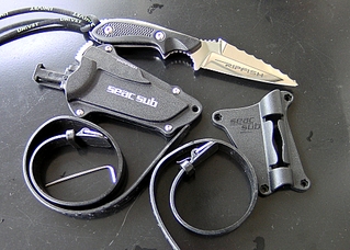 3878491.jpg Seac sub Rip Fish