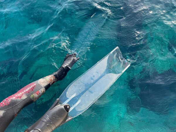 c4 ghost fins 4diving C4 carbon Ghost Fins