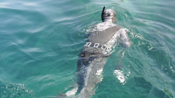 duocamo3-1024x576-2.jpg H.Dessault DUO CAMO