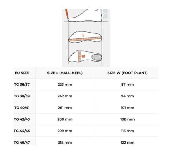 C4 MB-002 Sideral Fins carbon 20